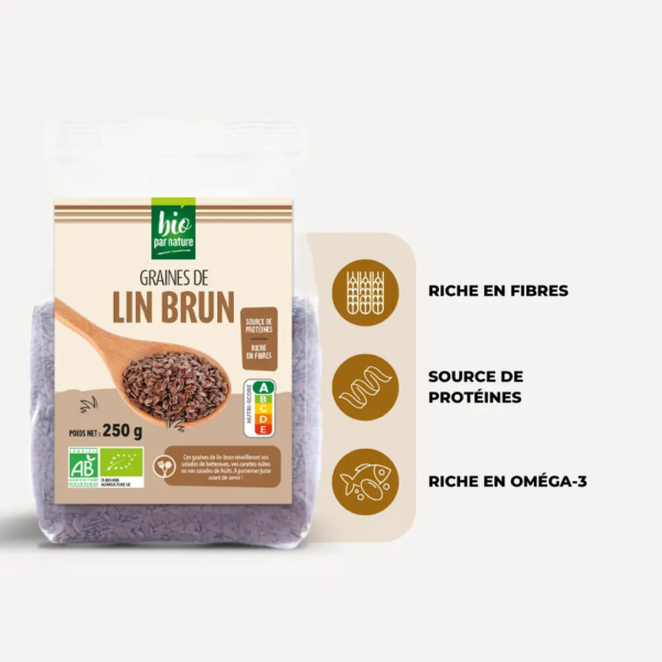 Graines de lin brun bio