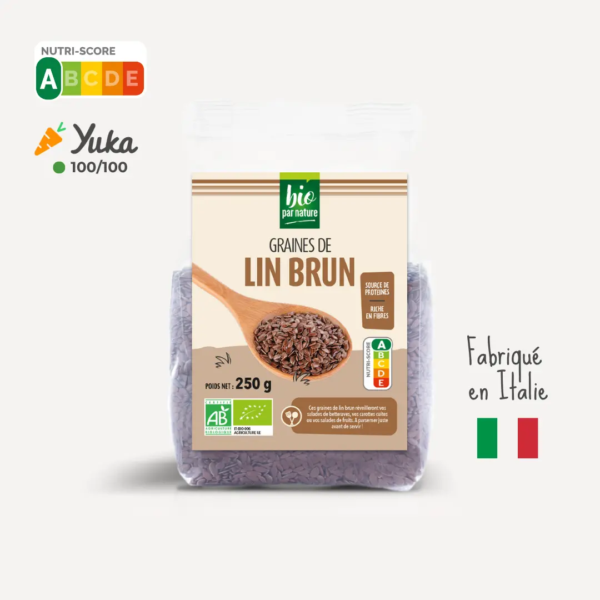 Graines de lin brun bio
