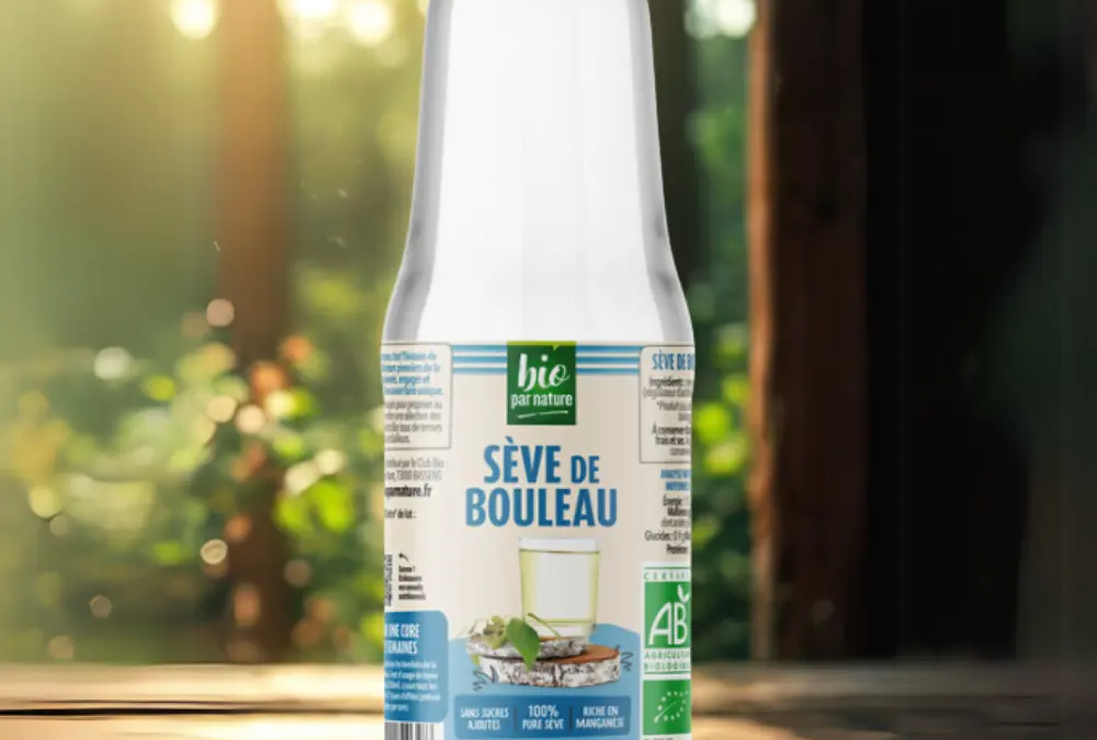Cure de sève de bouleau : quand et comment la faire ?