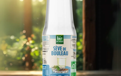 Cure de sève de bouleau : quand et comment la faire ?