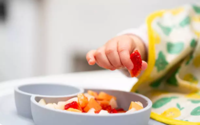 Comment intégrer le Bio dans la diversification alimentaire des bébés ?