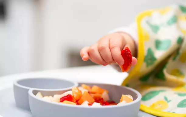 diversification-alimentaire-bio