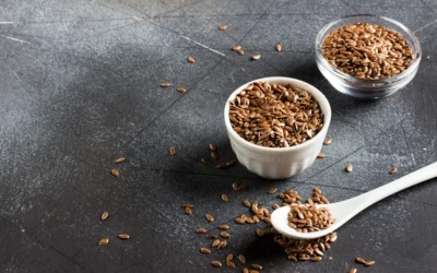 Graines de lin : bienfaits, précautions et guide d’utilisation pour votre nutrition
