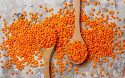 Lentilles corail : bienfaits, nutrition, digestion et idées simples pour les intégrer au quotidien