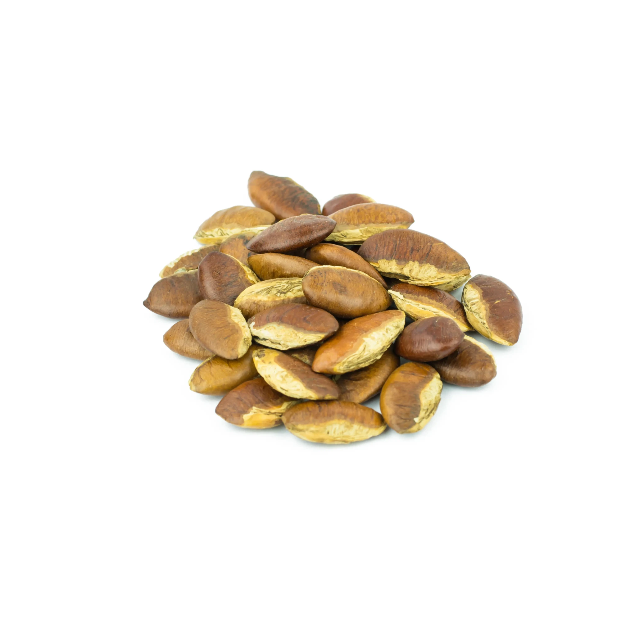 roasted-kayu-seeds-white-background-irvingia-malayana-benn
