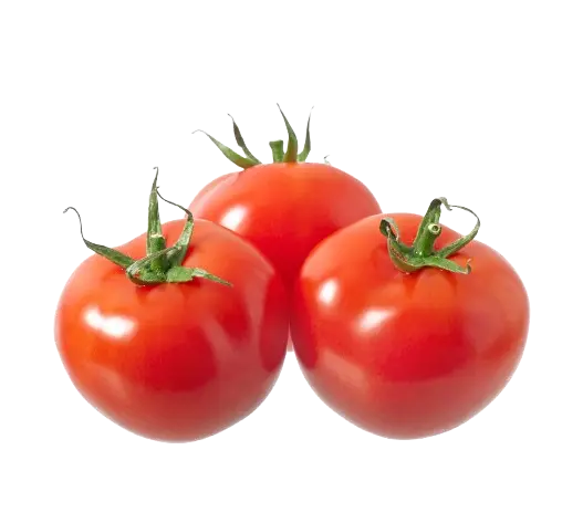 tomatoes